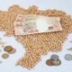 Confira os preços da soja em dia de relatório do USDA