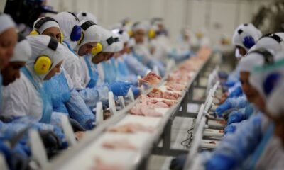países retomam importação de frango brasileiro