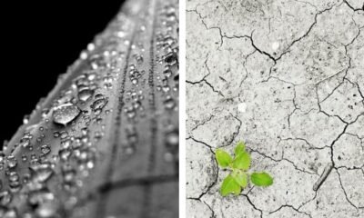 Previsão do tempo para hoje se divide entre chuva forte e tempo seco; confira