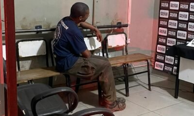 Homem é preso por matar filhote de cachorro a chutes em Paracatu