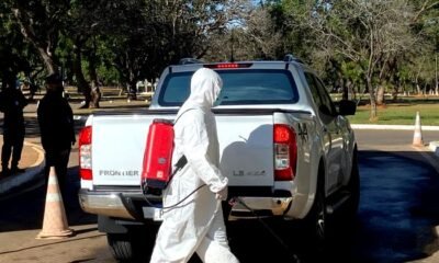 Gripe aviária: pessoas que tiveram contato com emu não têm sintomas