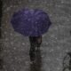 Estudo identifica 14 agrotóxicos na chuva no Estado de São Paulo