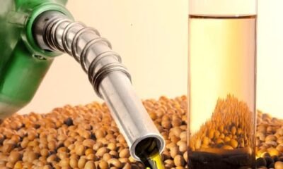 maior procura por biodiesel eleva as cotações