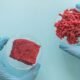 Austrália aprova o consumo de carne cultivada em laboratório Austrália aprova o consumo de carne cultivada em laboratório