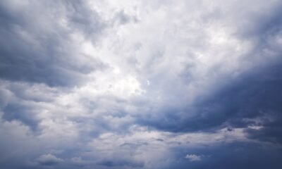 Frio invade lavouras e 2ª onda de frio derruba temperaturas em vários estados; saiba onde