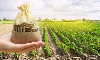 Governo ‘fecha portas’ com tributação de títulos agrícolas, diz CNA