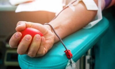 Sangue criado em laboratório pode suprir falta de doadores