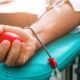 Sangue criado em laboratório pode suprir falta de doadores Sangue criado em laboratório pode suprir falta de doadores
