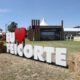 Feicorte 2025 terá exposição de 500 animais de 9 raças