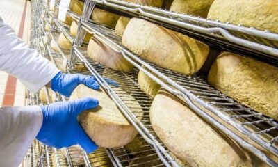 Decreto busca dar mais simplicidade e agilidade às fiscalizações do Mapa