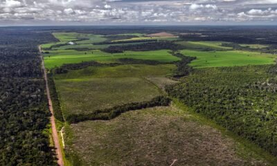 MPF faz acordo com Starlink para combater uso de internet por garimpo ilegal na Amazônia