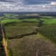 MPF faz acordo com Starlink para combater uso de internet por garimpo ilegal na Amazônia