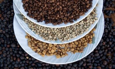 café ganha usos além da xícara