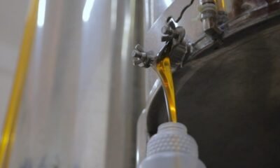 Equivalência de serviço de inspeção quer impulsionar pequenos produtores