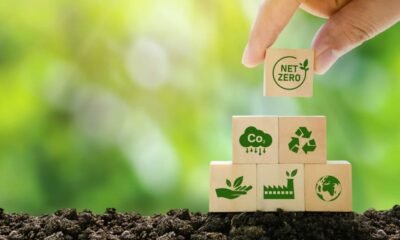 Meta de big techs de zerar carbono está descolada da realidade, aponta estudo