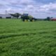 Com plantio iniciado, estado brasileiro deve expandir área de soja em até 7%