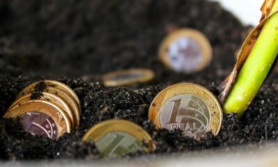Caíram os preços? Saiba como ficaram as cotações no Brasil