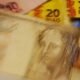 Alta do dólar e de Chicago impulsiona os preços de soja no mercado; saiba as cotações no Brasil