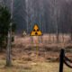 Fungo usa radiação para crescer e pode “limpar” Chernobyl Fungo usa radiação para crescer e pode “limpar” Chernobyl