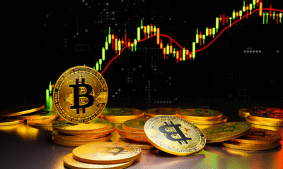 Memecoins: Economista lança robô que investe em criptomoedas explosivas de maneira automática; ativos já entregaram lucros de até 30.000%