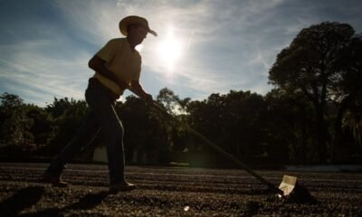 Agro baiano bate recorde de empregos com alta de 509% em maio