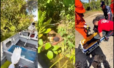 Bombeiros resgatam jovem atacado por abelhas durante pescaria