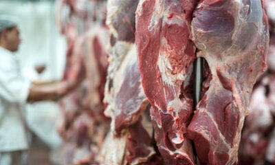 Frigoríficos saem do mercado, avaliando impactos de novas tarifas dos EUA ao Brasil