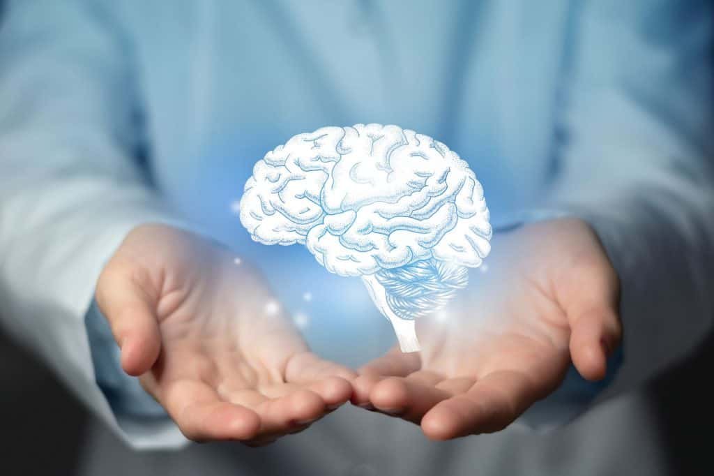 cerebro