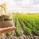 Brasil deveria seguir modelo de EUA e Espanha antes de liberar crédito rural, diz FGV Agro