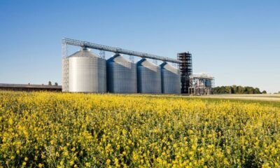 Governo libera R$ 1 bilhão em microcrédito rural para Norte e Centro-Oeste