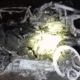 Lamborghini de Diogo Jota ficou incinerada após acidente fatal