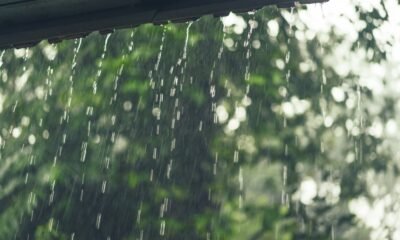 Clima muda o ‘jogo’: Sul se recupera das chuvas e outras regiões chegam a 38 °C