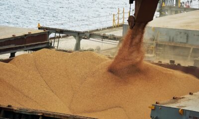 Exportação de soja em junho cai 3,9% em volume e 12,5% em receita