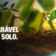 Nova molécula da Syngenta entrega uma proteção incomparável abaixo e acima do solo