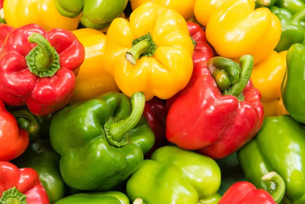 Pimentões verde, vermelho e amarelo