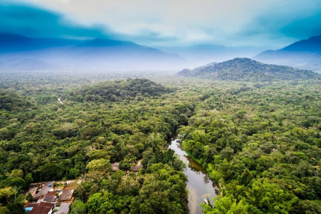 Amazônia vista de cima