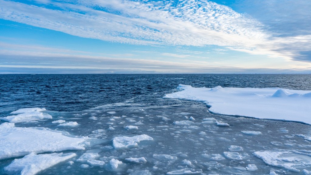 Oceano ártico