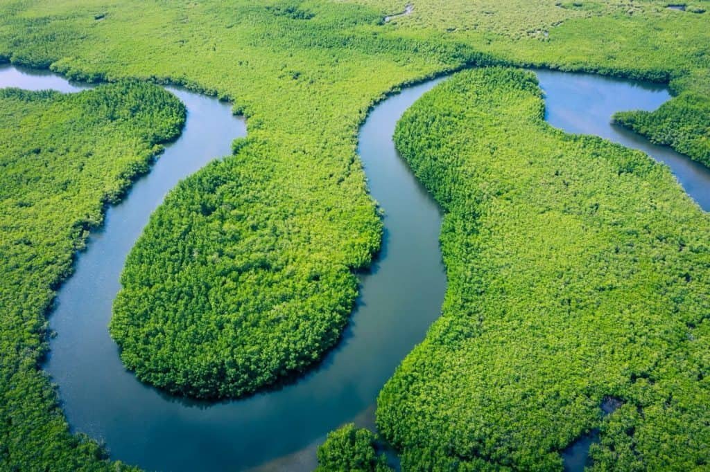 Floresta amazônica e um rio cruzando-a